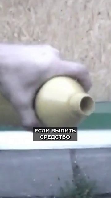 📍Опасных трендов в соцсетях становится всё больше #новости смотреть онлайн