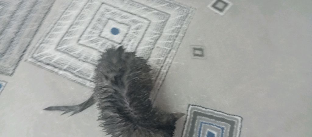 гоо смотреть онлайн