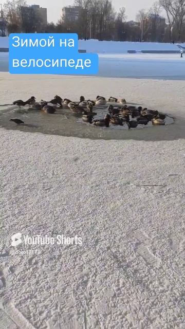 Зимой на велосипеде #велосипед #велопрогулка #навелосипеде #зимавгороде