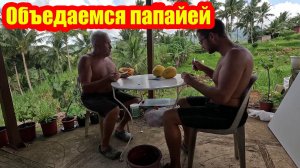 Отец Сергей и Сын Иван | Визит гостей | Батя делает душевую | Наедаемся нашей папайей