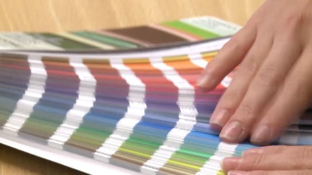 Радуга грибных пигментов