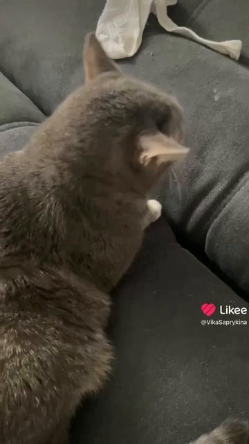 ТИПИЧНАЯ СИТУАЦИЯ В АВТОБУСЕ