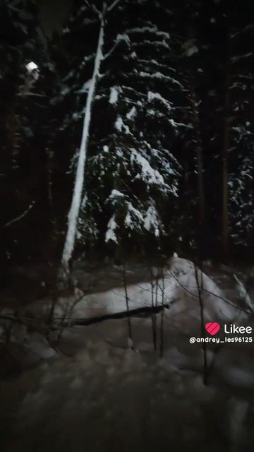 Вечерняя прогулка в двадцатиградусный мороз 🥶 1 марта 2026 года. 🌙 смотреть онлайн