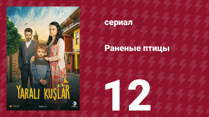 Раненые птицы 12 серия (сериал, 2019)