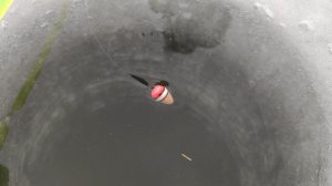 Зимняя рыбалка - карась, густера на поплавок... Стоит шубой под ногами