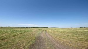 Лето, степь. Прогулка по степной дороге