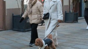 как всегда стильные итальянцы! смотрим уличный стрит стайл в Милане