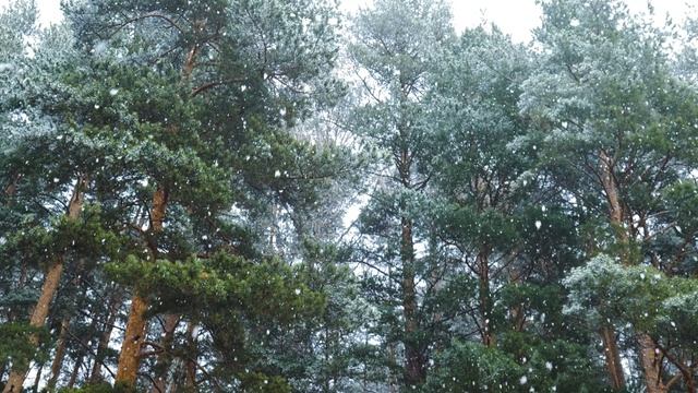 Друг с Юга Урала 3 смотреть онлайн