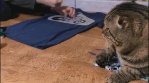 Новая жизнь старой одежде...