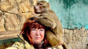 Мы принесли Люсю с Маней в вольер и они устроили себе завтрак на белой скатерти😃