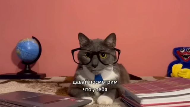 Kotiynet 7 серия 1 сезон. Урок майнкрафта.