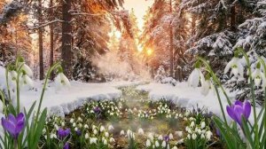 Февраль, февраль