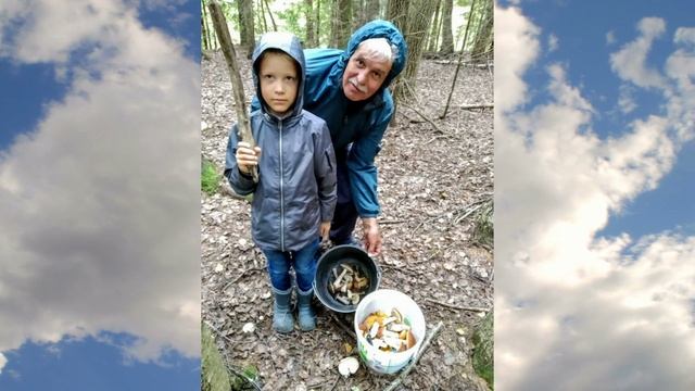 Истории из жизни