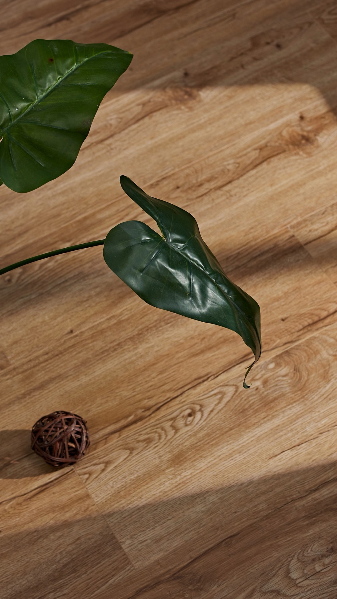 Образцы декоров SPC ламината Steinholz 🔥 смотреть онлайн