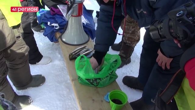 В УСТЬ-БОЛЬШЕРЕЦКОМ РАЙОНЕ 21 ФЕВРАЛЯ ПРОЙДУТ ТРАДИЦИОННЫЕ СОРЕВНОВАНИЯ ПО ПОДЛЁДНОМУ ЛОВУ КОРЮШКИ смотреть онлайн