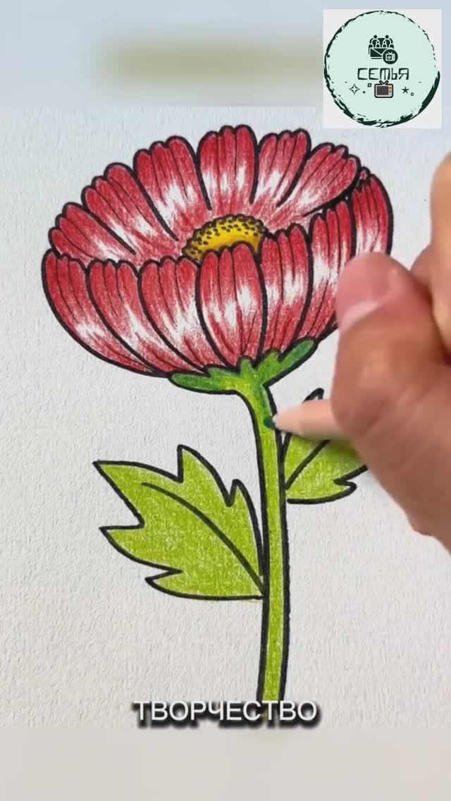 РИСУЕМ НЕОБЫЧНЫЙ ЦВЕТОК УРОКИ РИСОВАНИЯ смотреть онлайн
