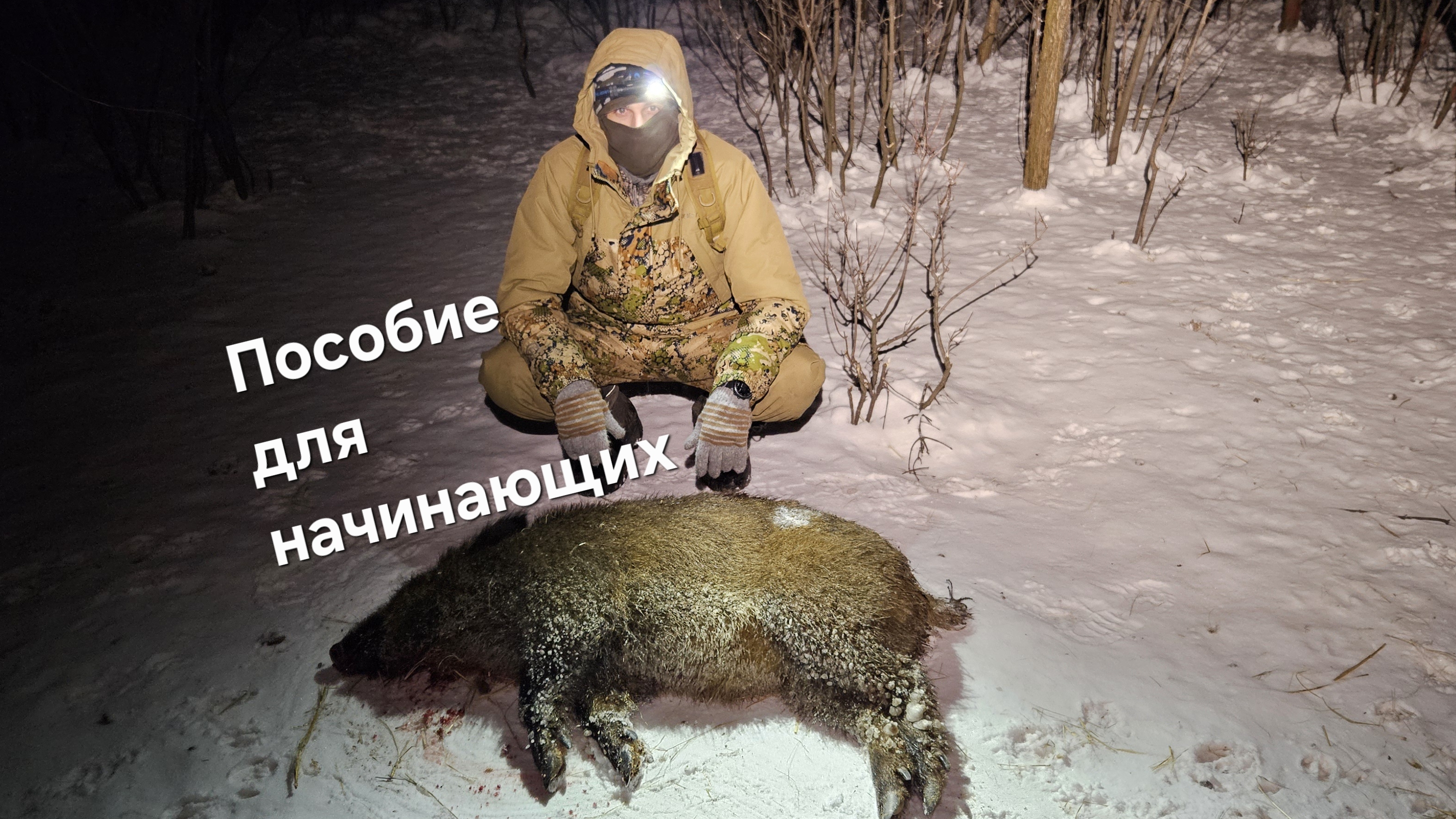 Охота на кабана.как правильно надо. смотреть онлайн