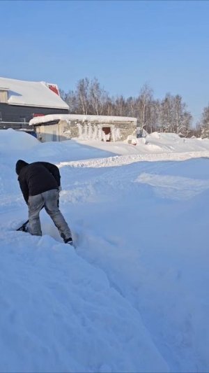 С чего началось наше утро 🙈❄️❄️❄️🙈