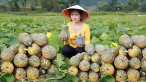 Собираю тыкву и отправляюсь на рынок продавать.Измельчаю кукурузу, чтобы накормить рыб и цыплят.Нхат