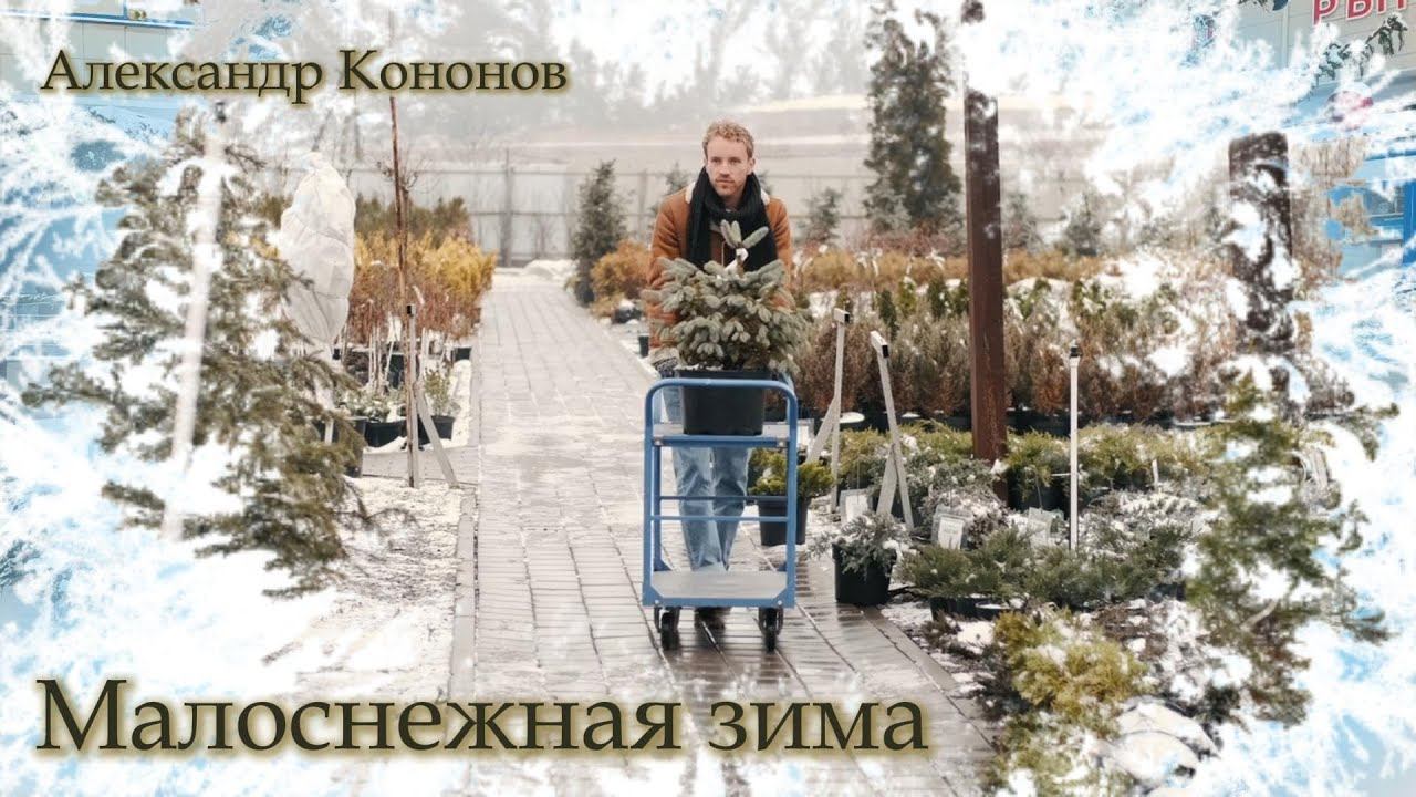 Александр Кононов - Малоснежная моя зима. A winter with little snow