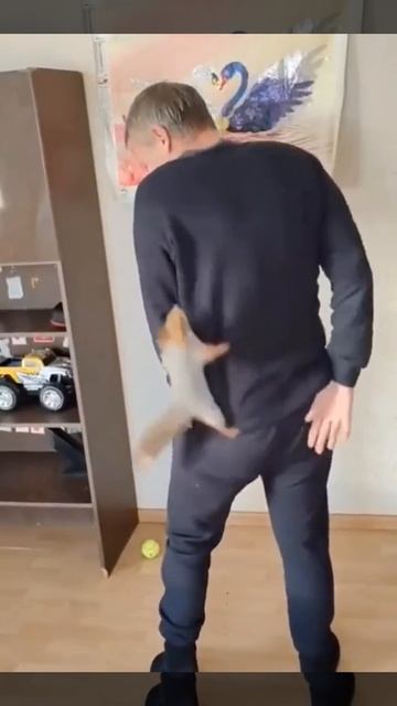 Белки к нам приходят.