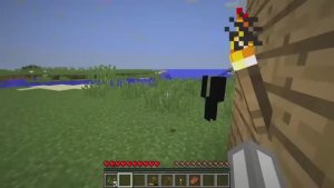 Я думаю что в моём мире кто-то есть! Minecraft!