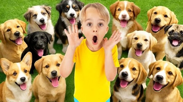 Крис и Майкл учатся заботиться о животных.