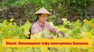 Dianxi Xiaoge. Китай. Лопающиеся тофу-жемчужины Баошана.