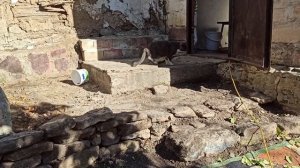 30,31 октября 2023г.Мой дом .Дни уборки и раскопок)