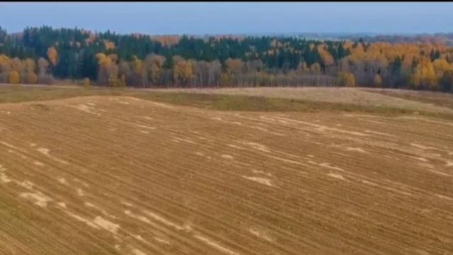 Ансамбль песни Ваталинка - Матушка Земля