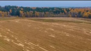 Ансамбль песни Ваталинка - Матушка Земля