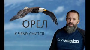 ОРЁЛ. К чему снится Орёл