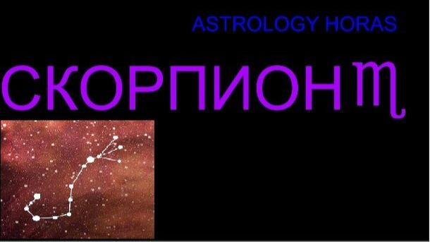 ГОРОСКОП ДЛЯ СКОРПИОНА НА ФЕВРАЛЬ 2026 смотреть онлайн