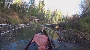 Идём на лодке по таёжной реке на осеннюю охоту. Промысел 2025. 1 серия