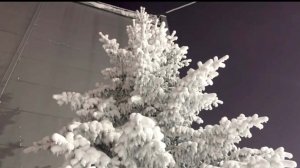 Зимняя красота