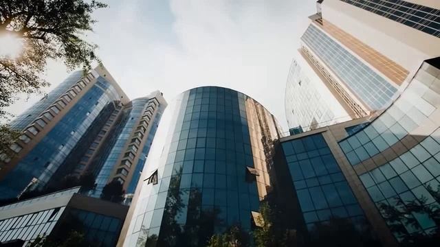 Работать языком-особый дар или кого забыл сизокрылый голубь в Ростовщине... смотреть онлайн