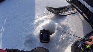 ХОТЕЛ ПОЛОВИТЬ ПЛОТВУ  / А ПРИШЛОСЬ СУДАКА / Обское водохранилище / СУДАК НА ВИБ