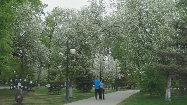 Весна в городе. Цветение яблонь. Тюмень смотреть онлайн