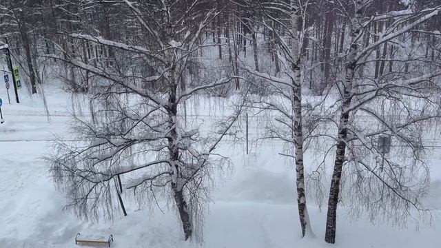 Влог с 26 января по 1 февраля. Готовимся к итоговому собеседованию. Снег и морозы. Что связала смотреть онлайн