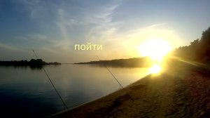 Фидер  Интересно