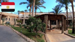 #33 Краткий обзор отеля Reef Oasis Beach Resort 4*. Обед. Египет. Шарм-Эш-Шейх. Декабрь 2025