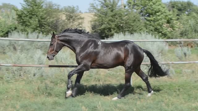 Фатарий_1