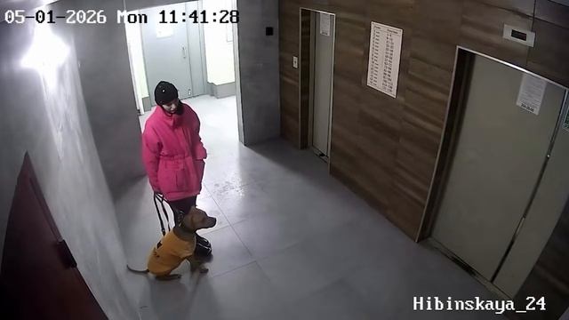 115 НЕВЕРОЯТНЫХ СЛУЧАЕВ 😁