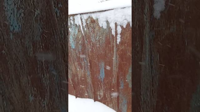 02-02-2026 смотреть онлайн