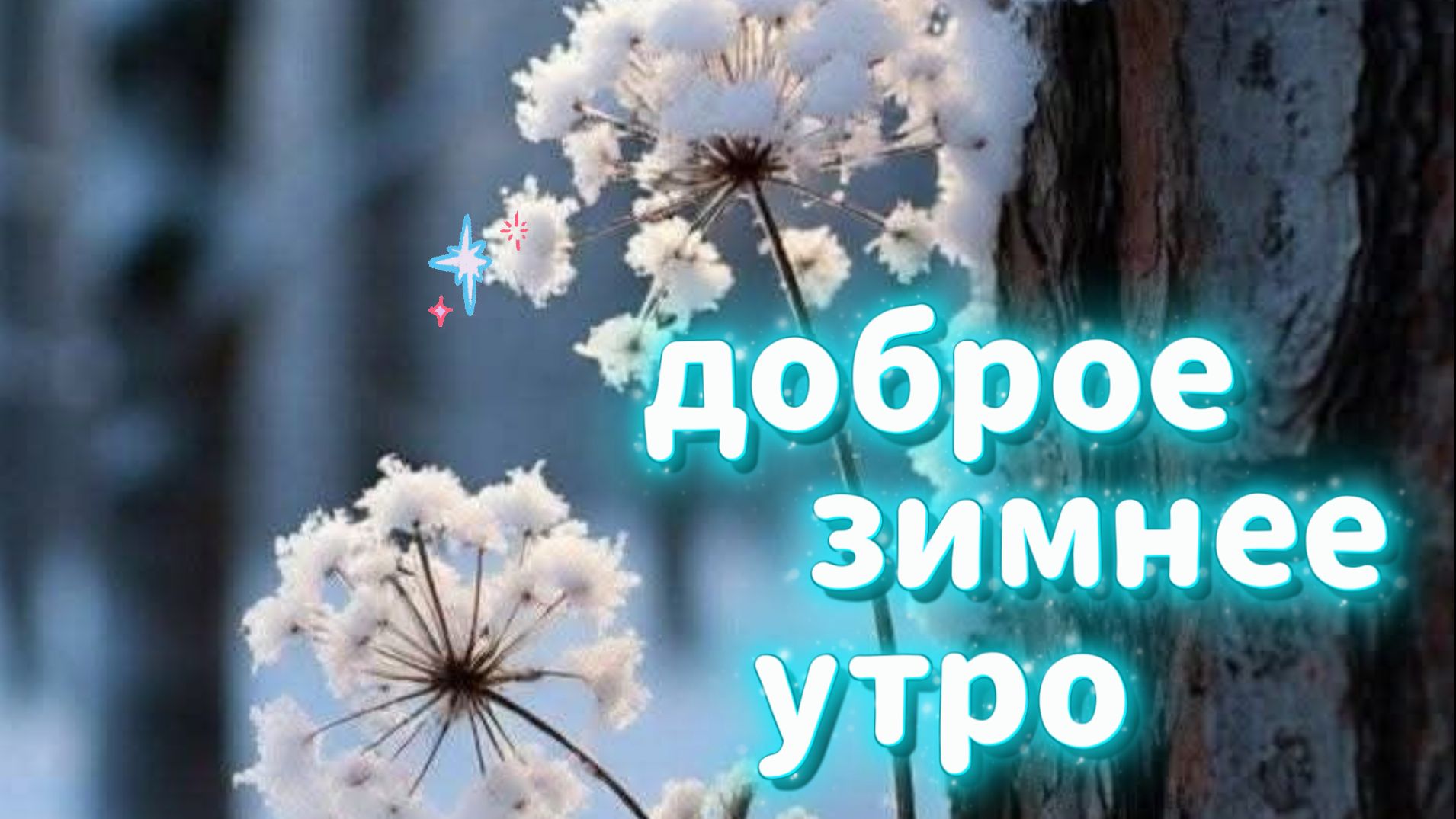доброе зимнее утро видеооткрытки ☀️