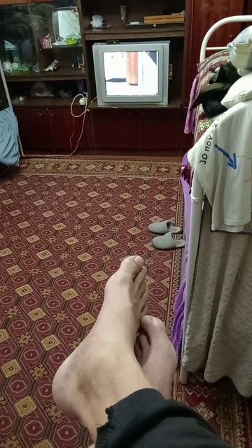 scene_output.mp4 смотреть онлайн