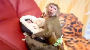 У Люси со Степкой распаковка! Интересно, променяет Люся Степку на ПОДАРКИ или нет