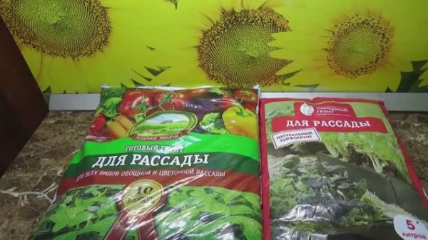 В магазин завезли ОЧЕНЬ ДЕШЕВЫЙ ГРУНТ ДЛЯ РАССАДЫ! Проверяю качество.