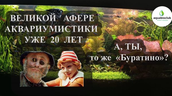 Величайшая афера с жидким СО2 - глутаровым альдегидом ("Сайдексом").