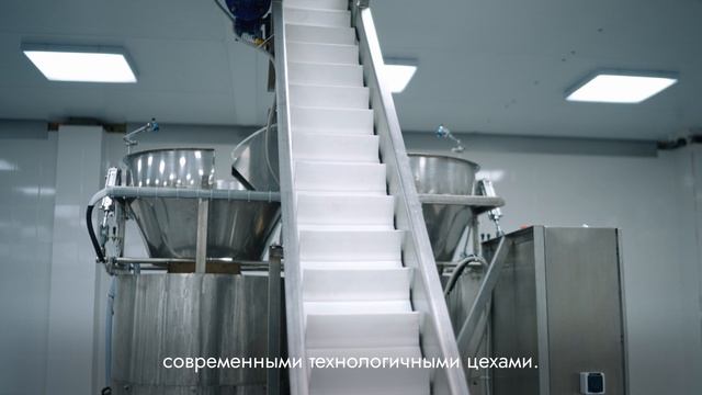 Mr.Food о компании, октябрь 2025